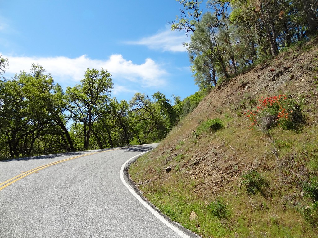 Kincaid Rd Kincaid Rd akiyamakawa Flickr