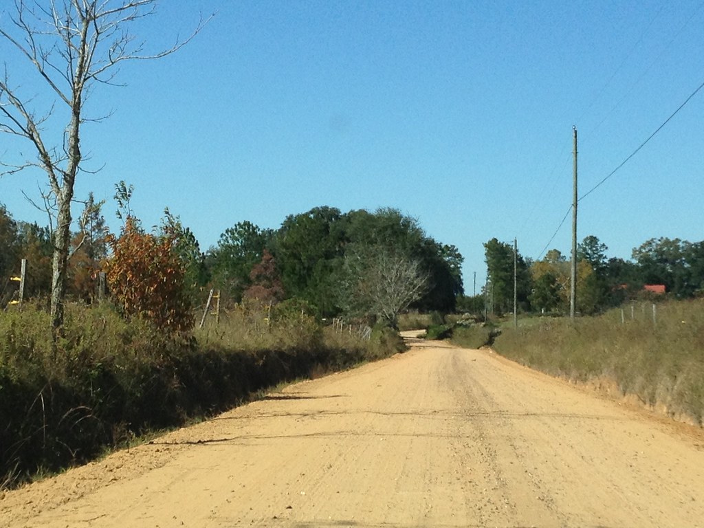 IMG_0331 Canopy roads on KinderlouClyattville Road in Low… Flickr