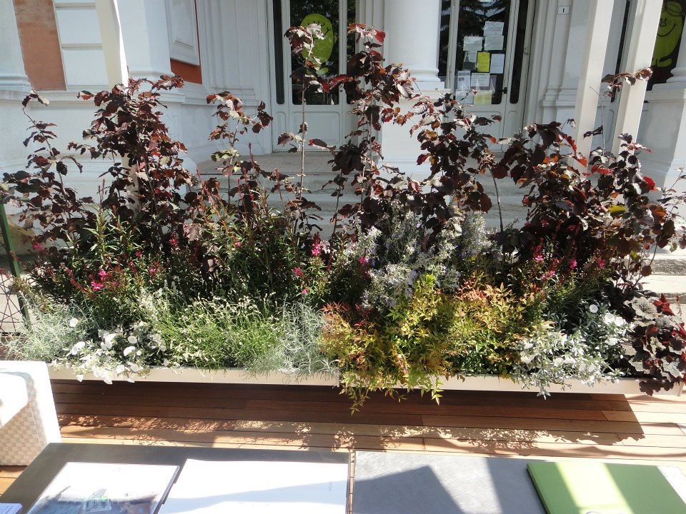 Giardini E Terrazzi Bologna Giardini e terrazzi a Bologna Un trionfo