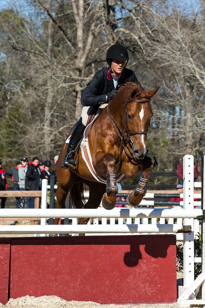 University of South Carolina Equestrian University of Sout… Flickr