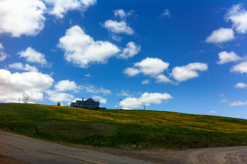 The Dandelion Farm End of Harmony Road Fil.Al Flickr