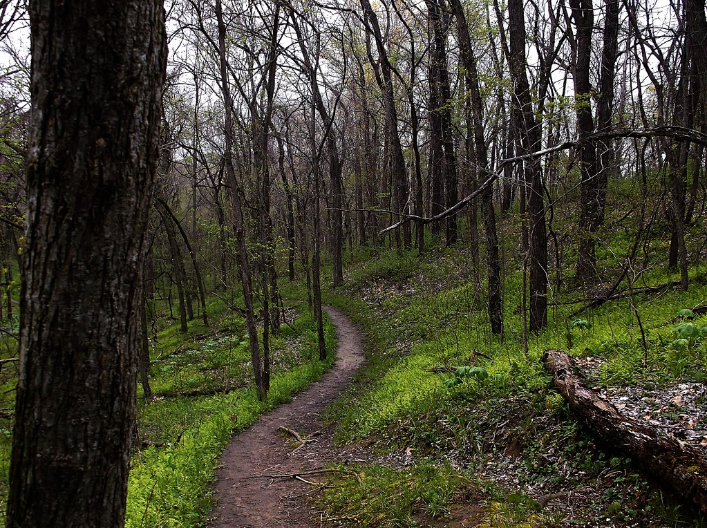 Weston Bend State Park On the overlook trail Flickr