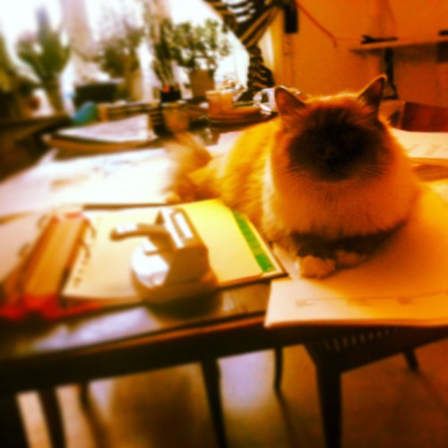 "Vaddå? Vad är bokslut för nåt? Jag vill ju va med dig pap… Flickr