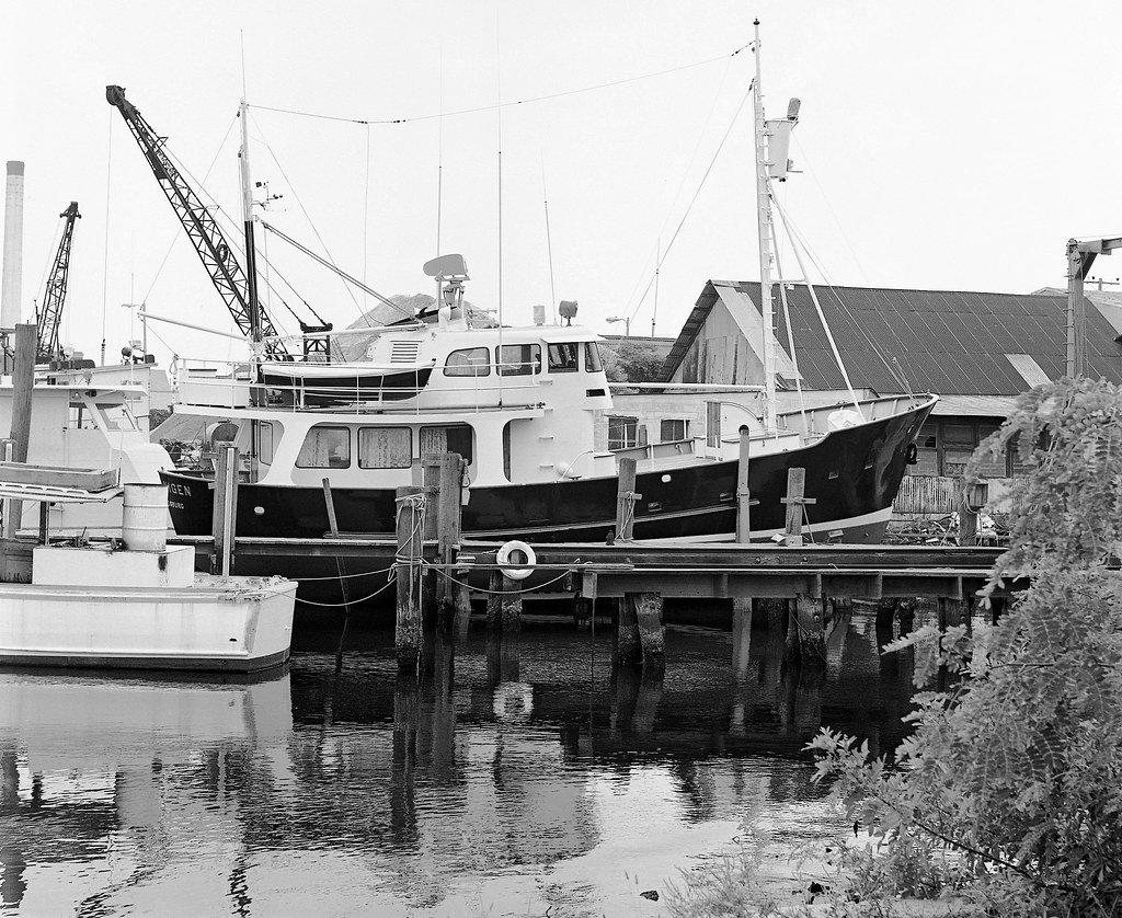 boat slip rental st petersburg florida Carola Tyson