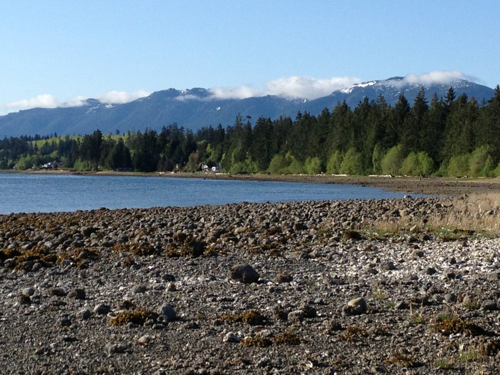 Fanny Bay, Baynes Sound,BC Looking south, I walked for a c… Flickr