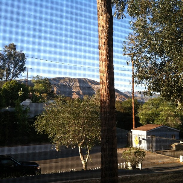 Tambourines and Elephants... randy randall Flickr
