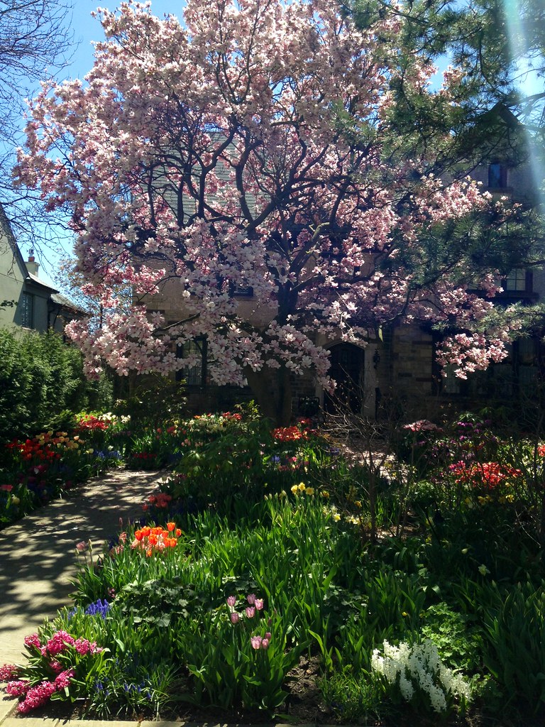 Now that's a spring garden Spotted in Forest Hill today Flickr