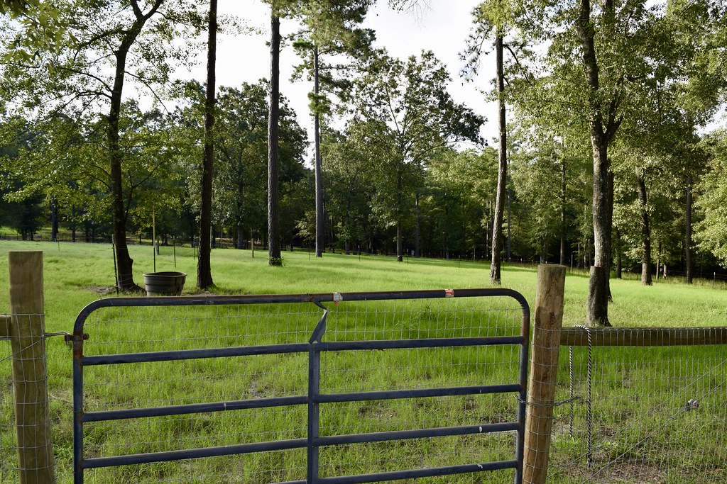 DSC_0919 Khakalaki Farm Trenton, South Carolina Presle… Flickr