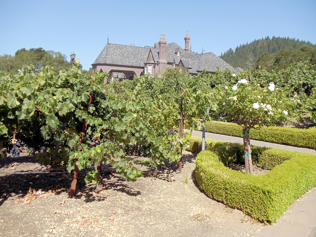 Ledson Winery and Vineyards, Santa Rosa, California, USA Flickr