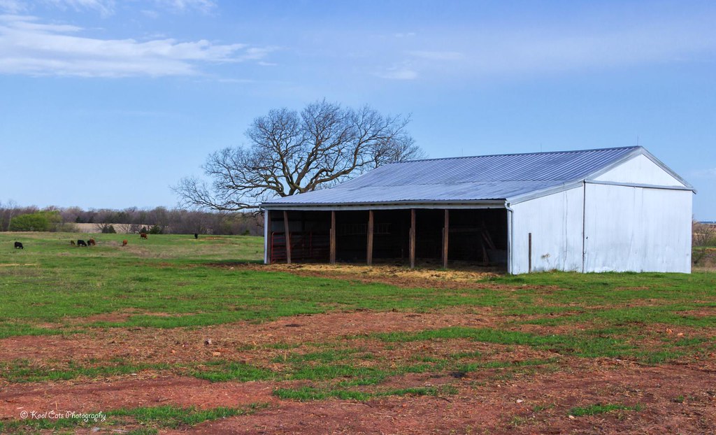 The Old Metal Barn Near Okarche, Oklahoma. Kool Cats Photography