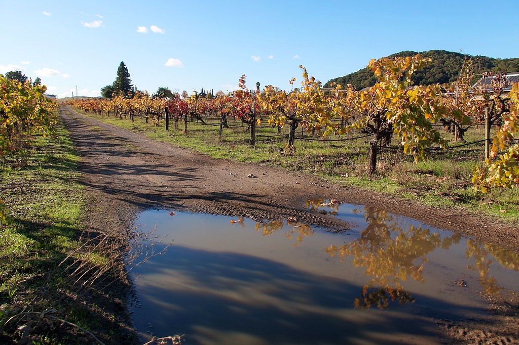 California Winery Jobs at Julius Logan blog