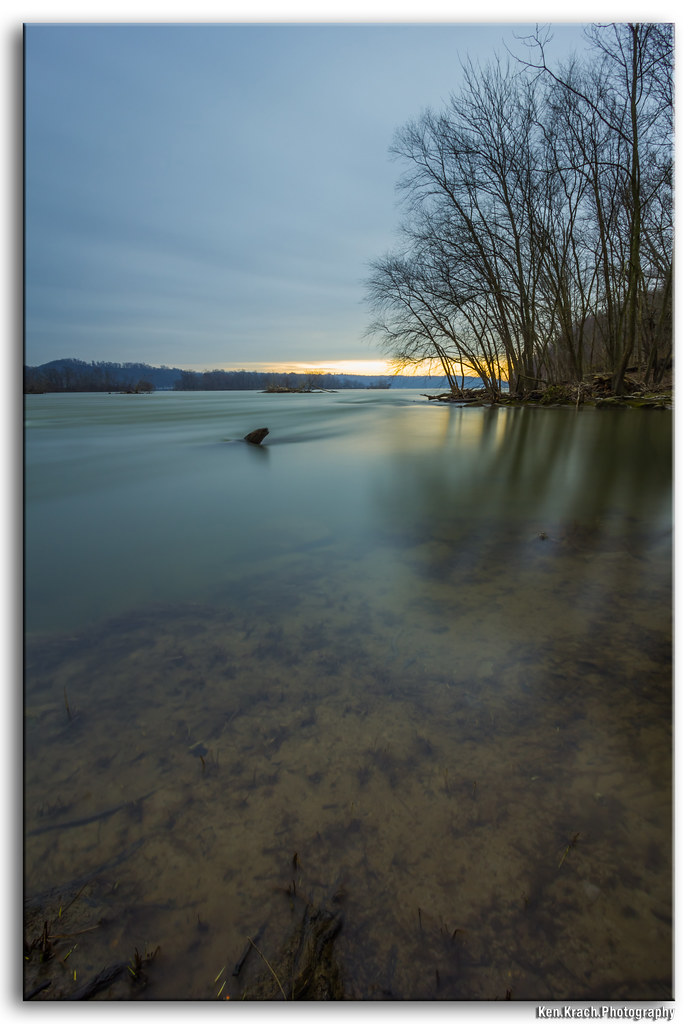 Shark in the Susquehanna As the morning progressed, I move… Flickr