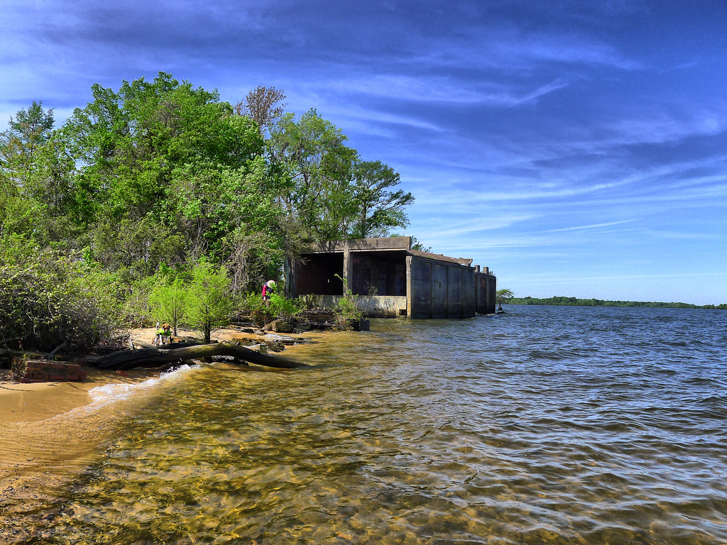 Elevation of St Julien Dr, Eutawville, SC, USA Topographic Map