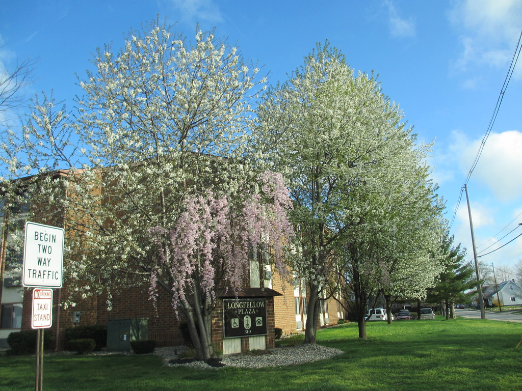 Springtime at Longfellow Plaza, Anderson, Indiana Paul McClure Flickr