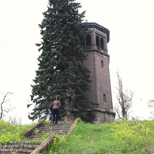 swannanoa tower Andrew Stronge Flickr
