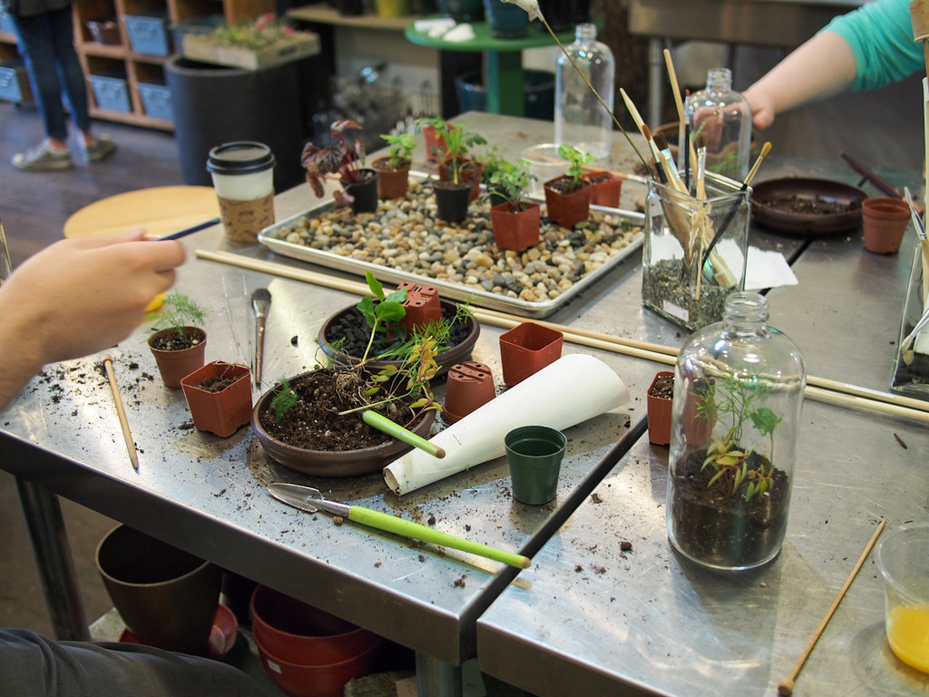 terrarium day Terrariumbuilding class at The Palm Room. Carissa