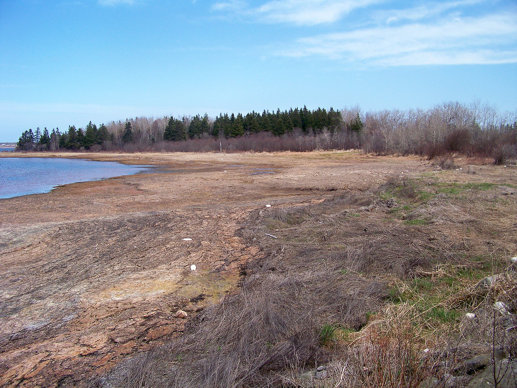 Low tide, Morell River, PEI May 4, 2013 Larry Flickr