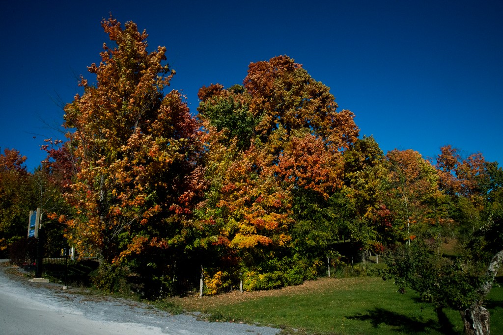 DSC_4305 (Copy) Frelighsburg, Quebec falls colours near … Flickr