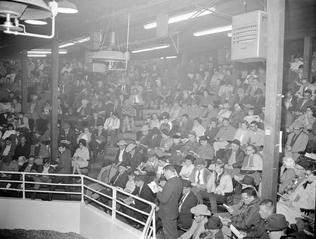 Teater Stock Sale, Lancaster, KY Teater, Stock Sale, Lanca… Flickr