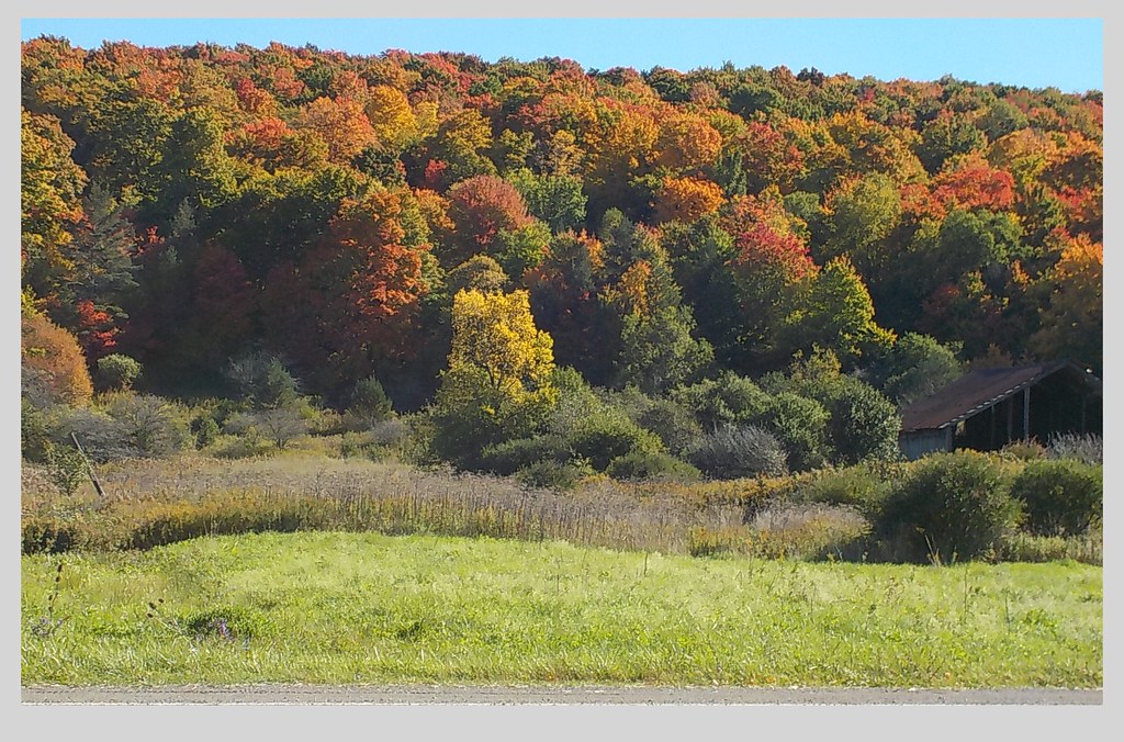 Farmersville, NY Carolyn Flickr