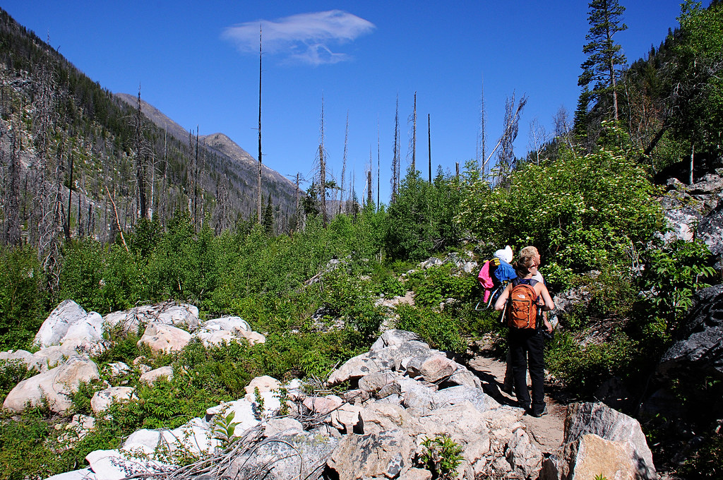 Black LakeLake Creek Trail Winthrop Washington Janzster's View