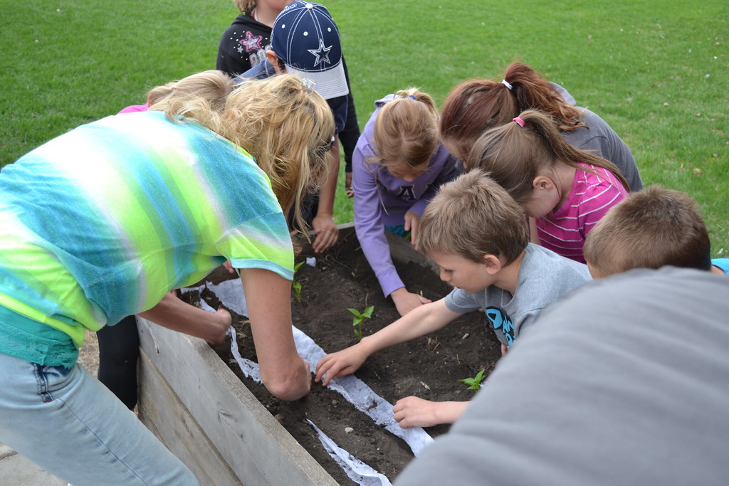 Gackle Streeter Elementary Students ND Farm to School Flickr