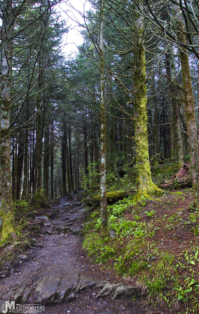Alpine Grove 3 Hiking on the Appalachian Trail to Charlies… Flickr