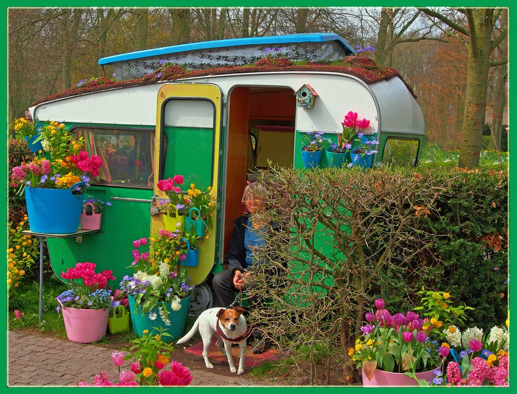 Flower Power Holiday Have a nice start into the new week! … Flickr