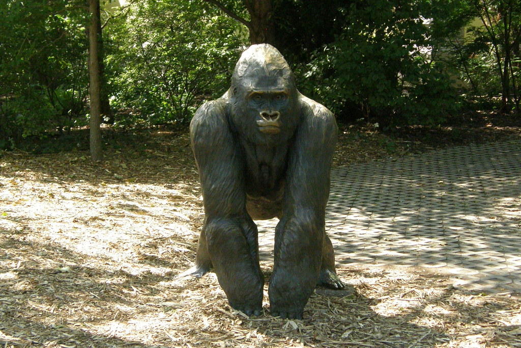 Brookfield Zoo Brookfield Zoo gorilla statue Jack Flickr