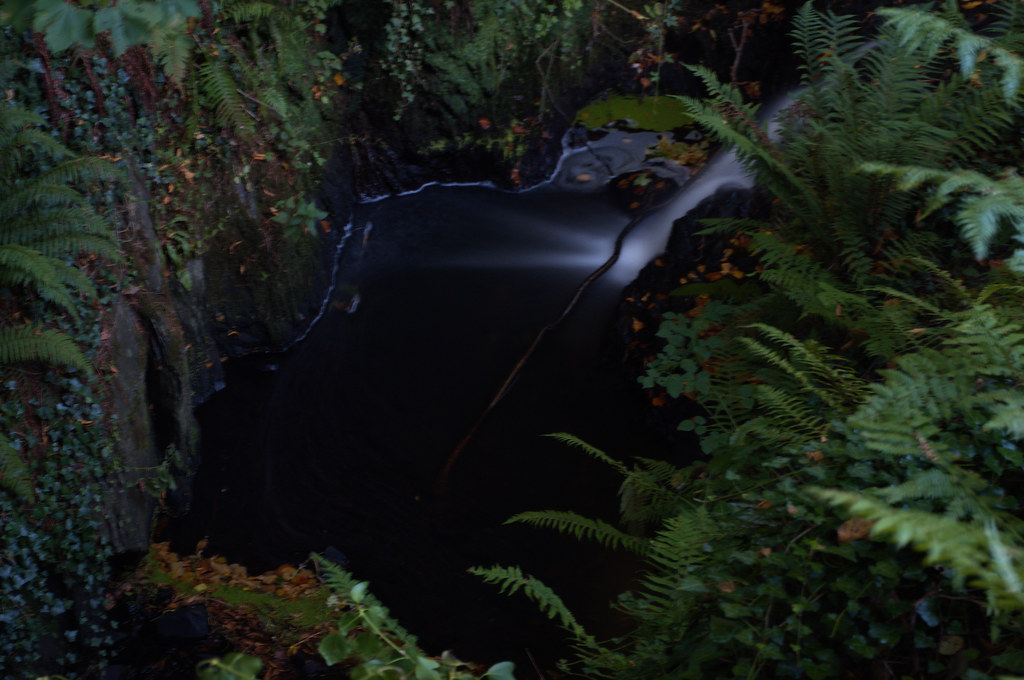 Strickland's Glen, Bangor, Co. Down www.bangorwestconserva… Flickr