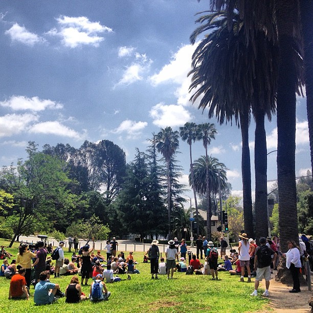 Big Parade 2013 Flickr