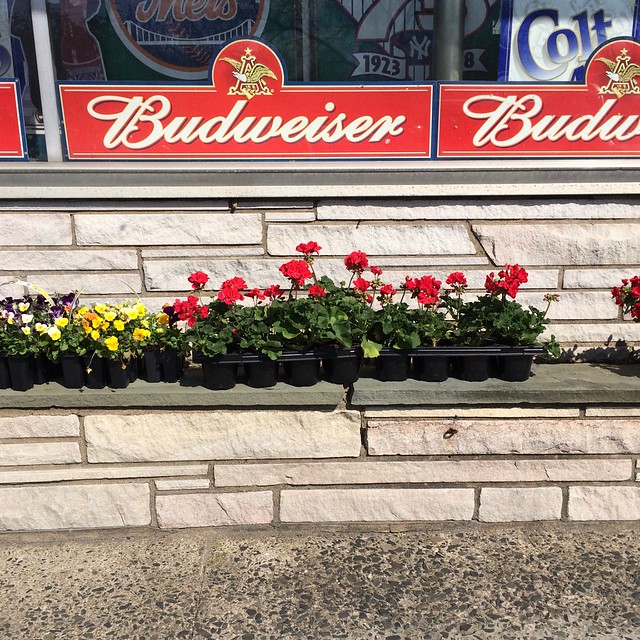 Oprandy’s Wine & Liquor Store Englewood New Jersey Retro Roadmap