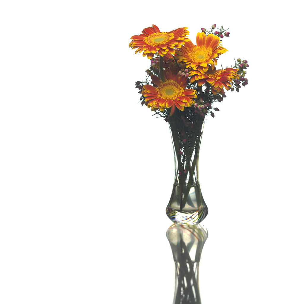 Flower Still Life Flowers in a vase, photographed with a 4… Flickr