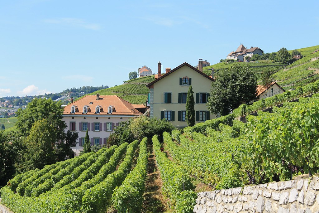 Terrasses de Lavaux StSaphorinLutry Terrasses de Lavau… Flickr
