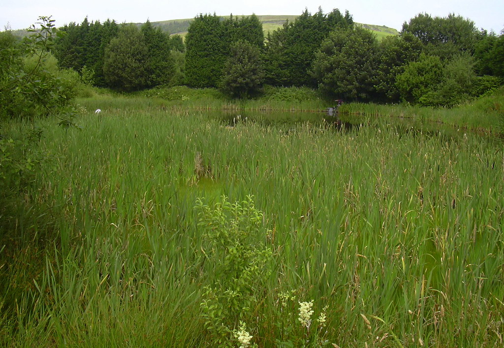 Holden Vale Bleach Works PondLodge Robert Wade (Wadey) Flickr
