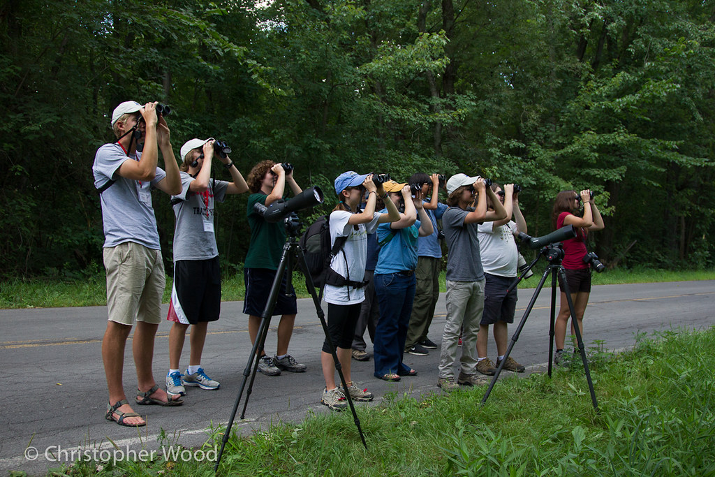 Cornell Young Birders Event zeledonia Flickr