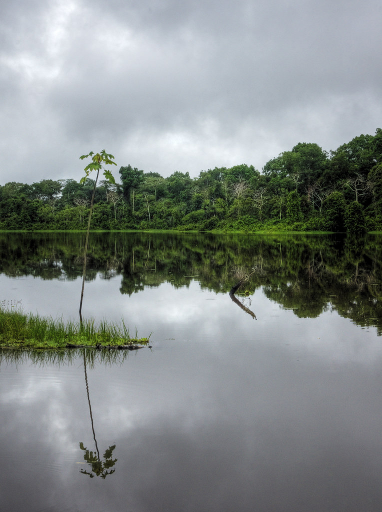 amazon rainy day reflections mariusz kluzniak Flickr
