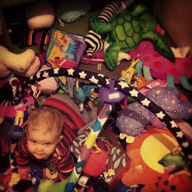 Play with ALL the TOYS! Rachel Young Flickr