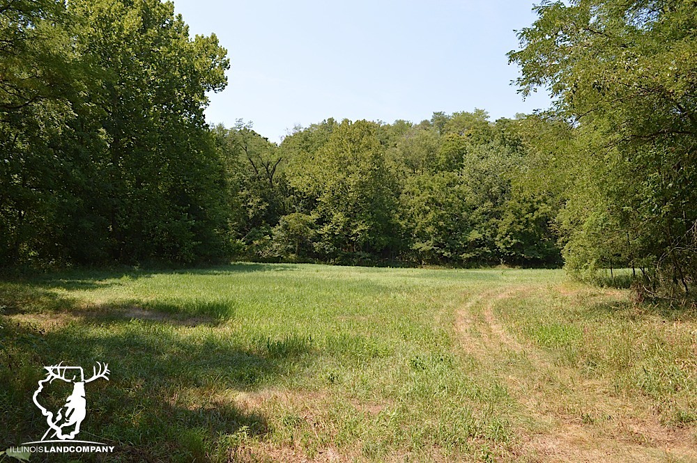 Illinois Land for Sale 40 Acres in Fulton County Flickr