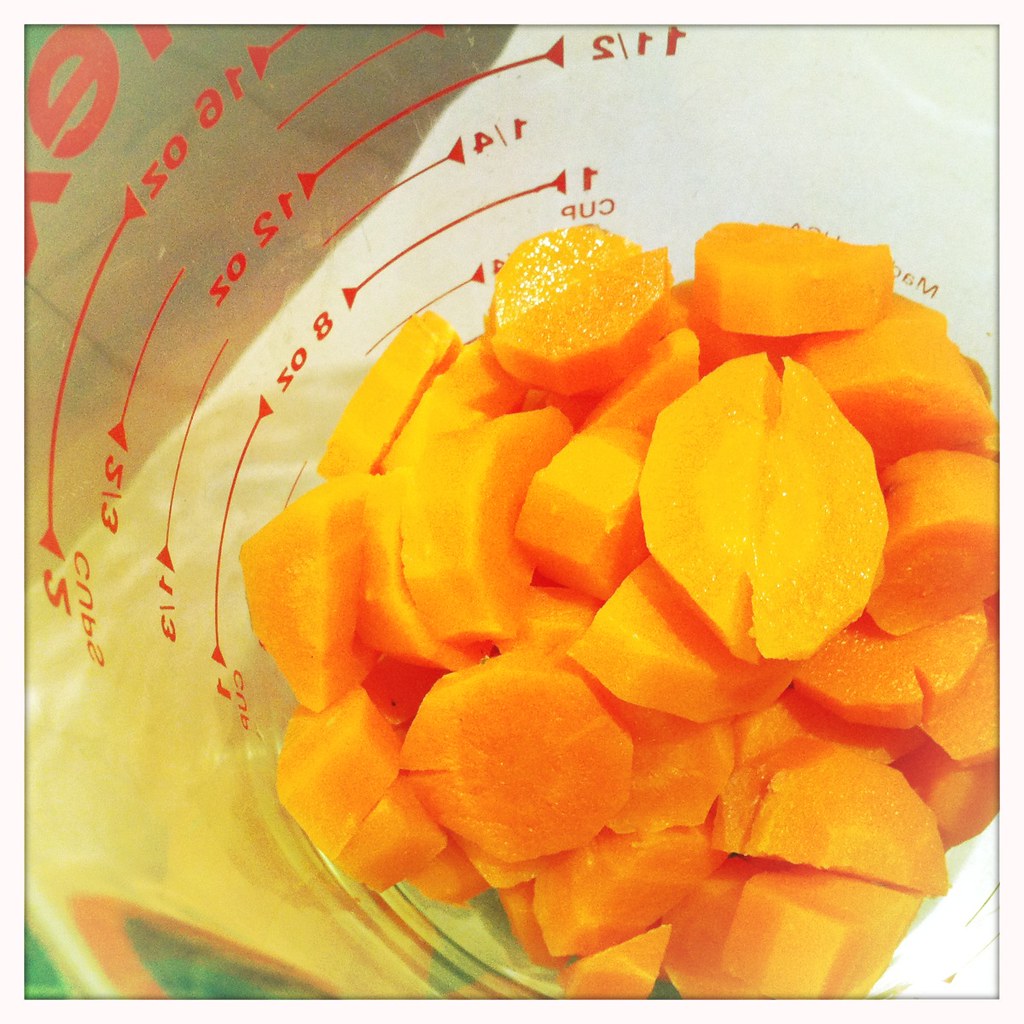 1 cup cooked carrots edithnicole Flickr