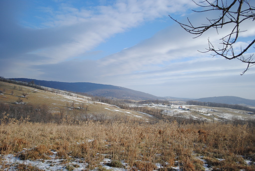 DSC_0923 Matthew Bucher Flickr