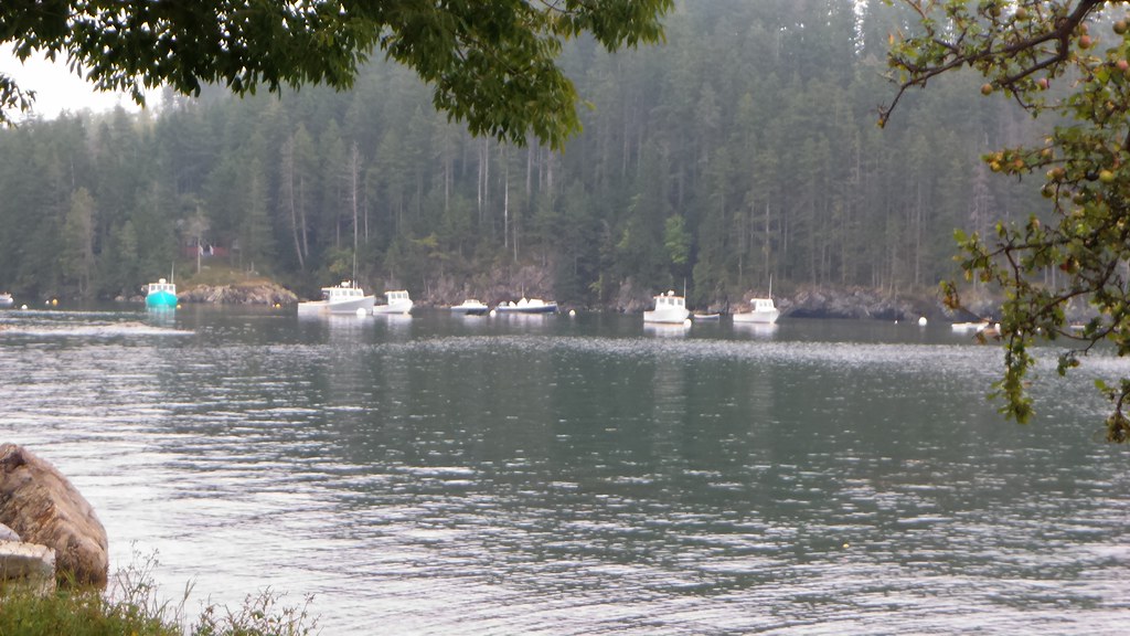 P_20160919_122324 Seal Cove, Maine Dan Darling Flickr