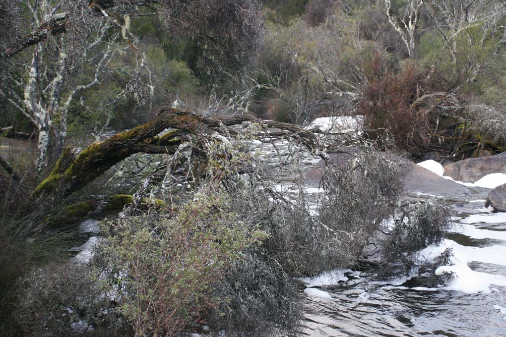 Moons Crossing EllizabethTaylor Flickr