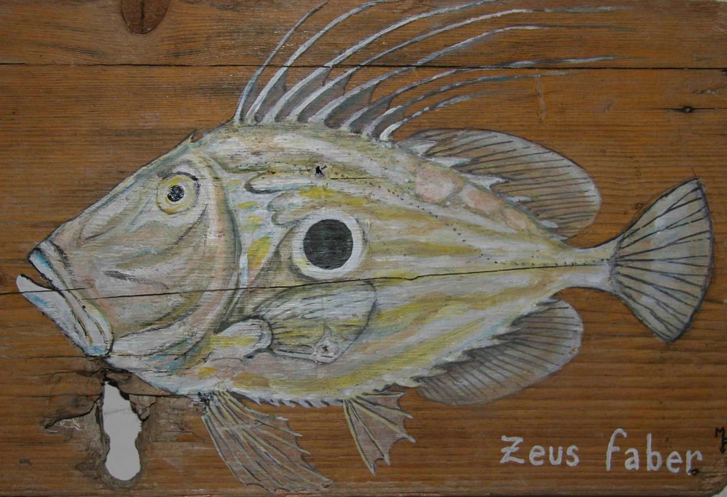 SaintPierre Poisson Flotté Flickr