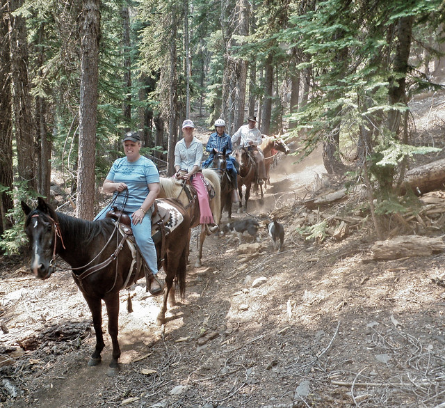 Horse Riding Pacific Crest Trail, Sky Lakes Wilderness, Oregon a