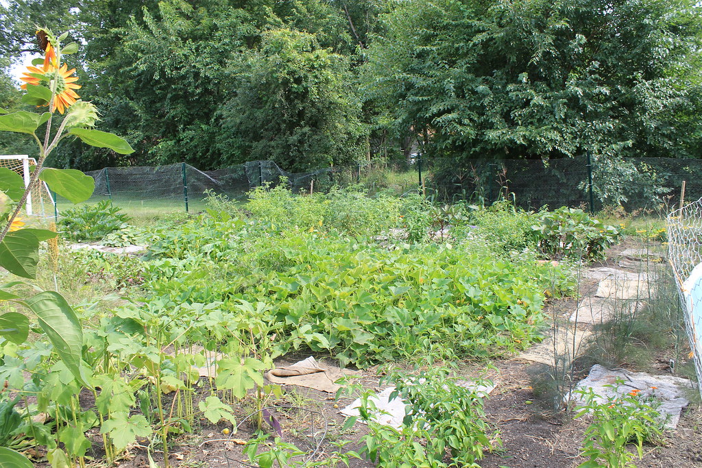 Cottageville Park Community Garden on CG Day 2012 Photo by