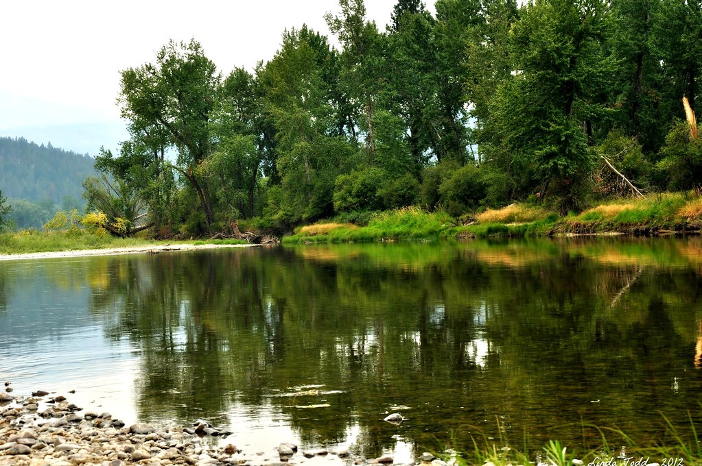 Bitterroot River...... Took a stroll down at McClay Flats … Flickr