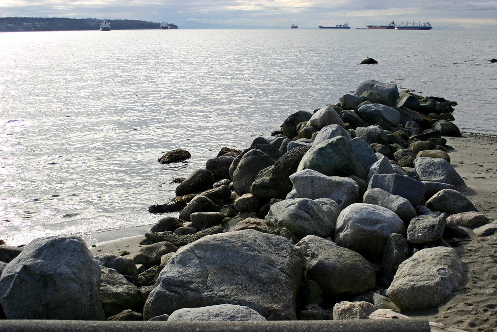 Vancouver treetop Stanley park Flickr