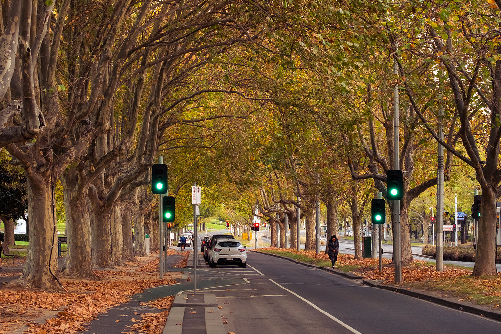 Autumn Colours St Kilda Road, Melbourne a.canvas.of.light Flickr