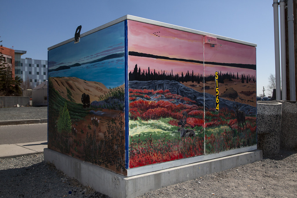 utility art 18 Utility boxes in Yellowknife adorned with p… Flickr